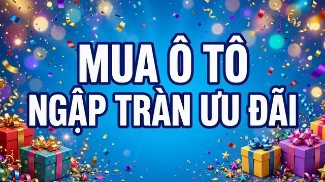 Địa điểm hỗ trợ xem xe tại Kiên Giang